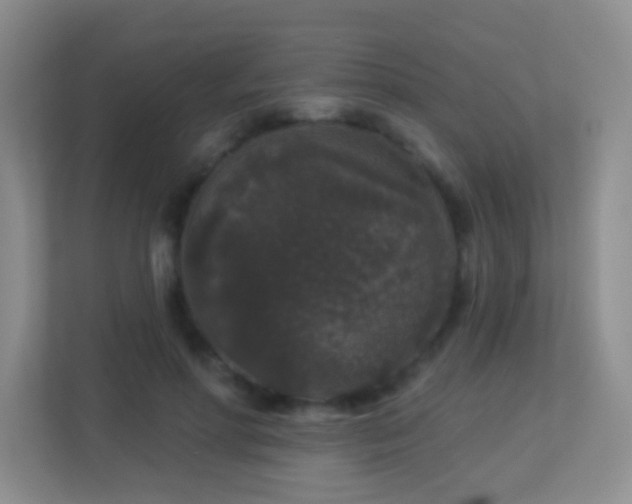 X0000113880598200909241354