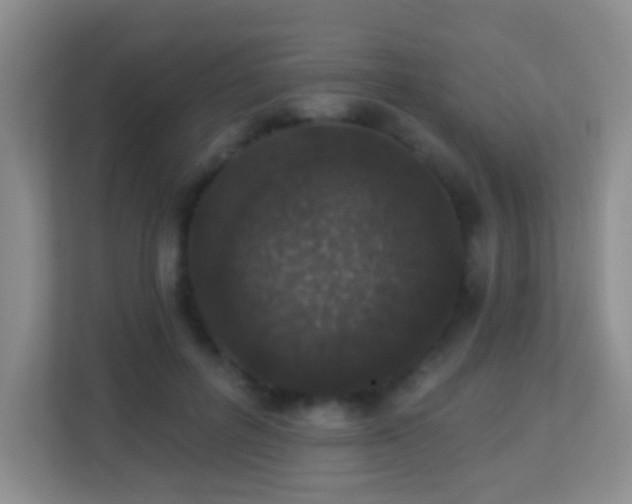 X0000113880600200909241354