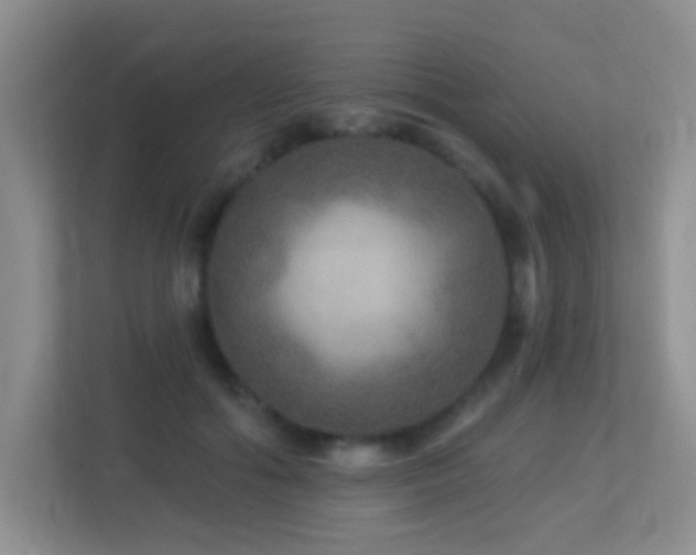 X0000113880602200909241354