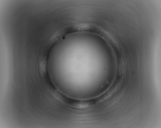 X0000113880604200909241354