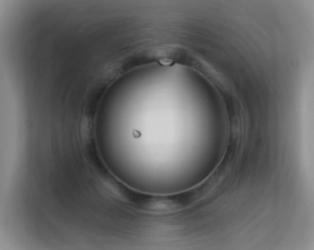 X0000113880605200909241354