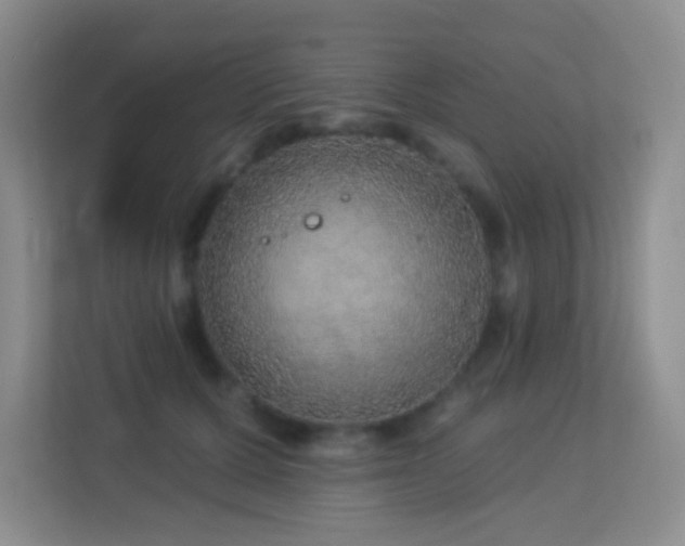 X0000113880607200909241354