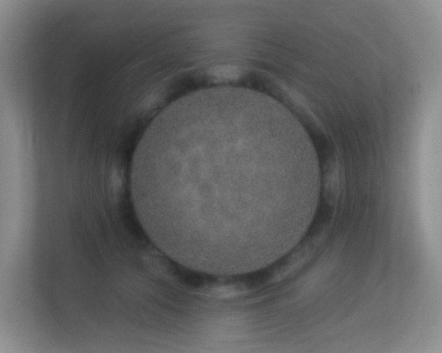 X0000113880608200909241354