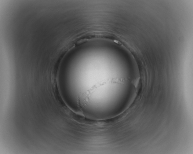 X0000113880609200909241354