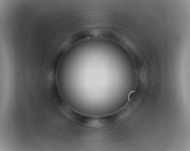 X0000113880611200909241354