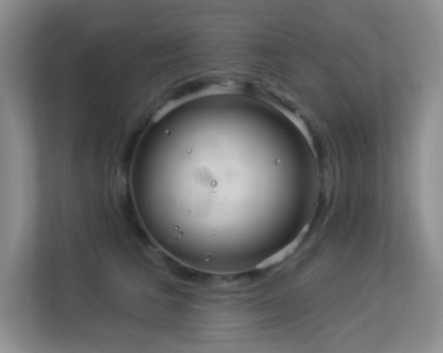 X0000113880613200909241354