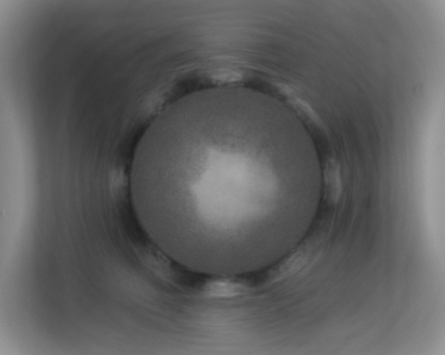 X0000113880614200909241354