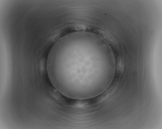 X0000113880616200909241354
