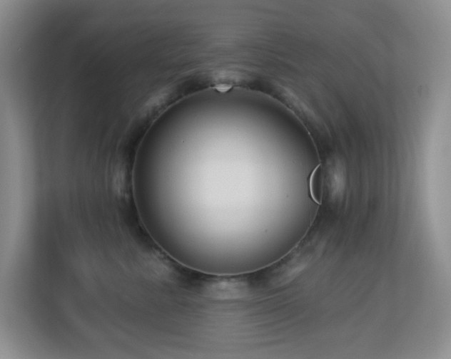 X0000113880619200909241354
