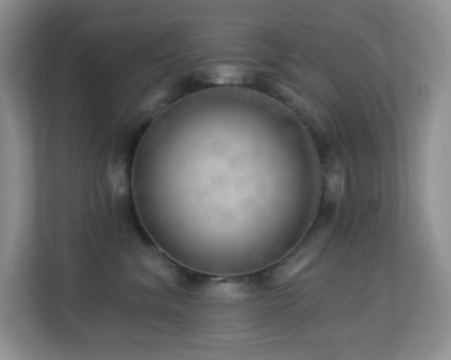 X0000113880620200909241354