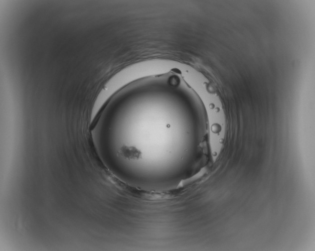 X0000113880621200909241354