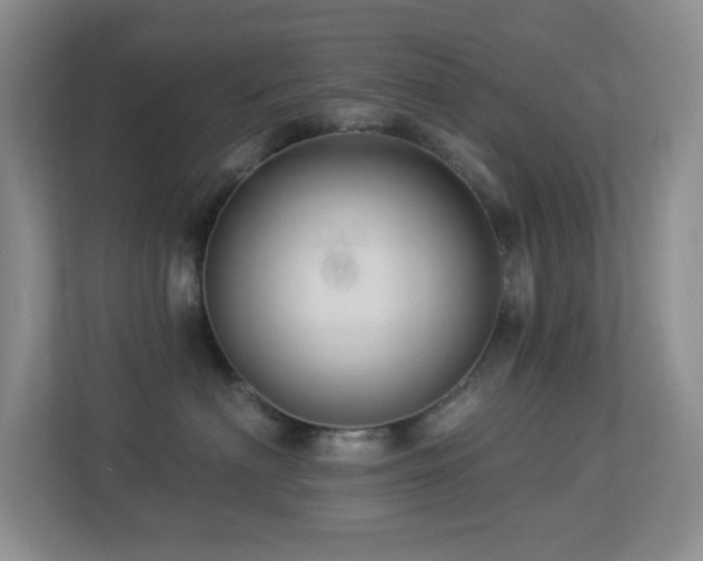 X0000113880622200909241354