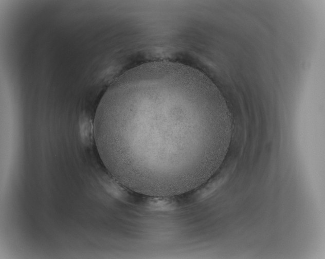 X0000113880624200909241354