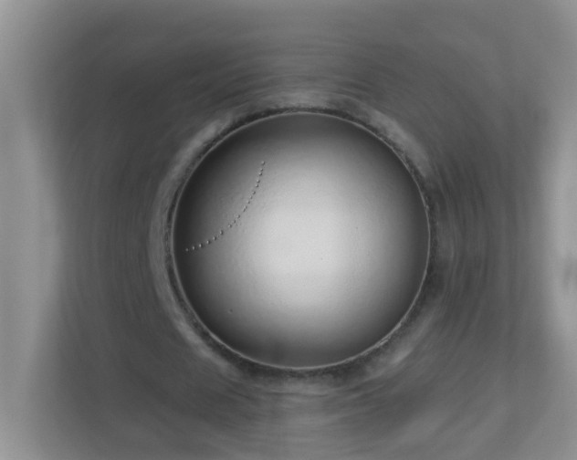 X0000113880625200909241353
