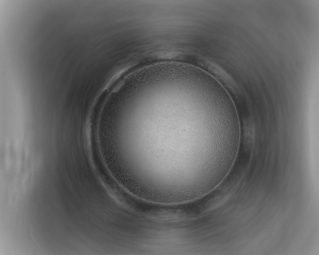 X0000113880626200909241353