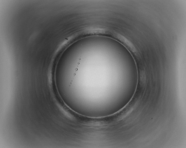 X0000113880629200909241353
