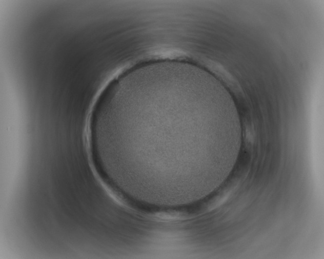X0000113880630200909241353
