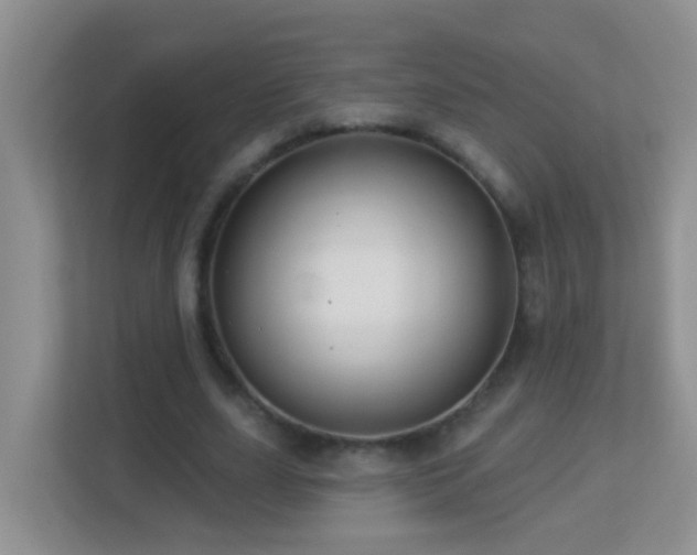 X0000113880631200909241353