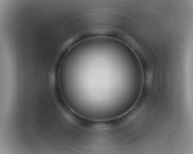 X0000113880636200909241353