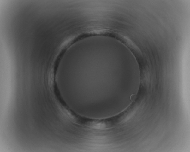 X0000113880640200909241353