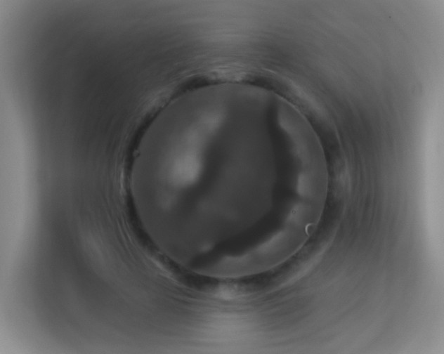 X0000113880641200909241353