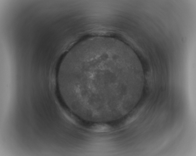 X0000113880642200909241353