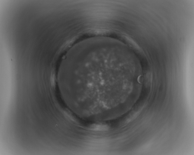 X0000113880644200909241353