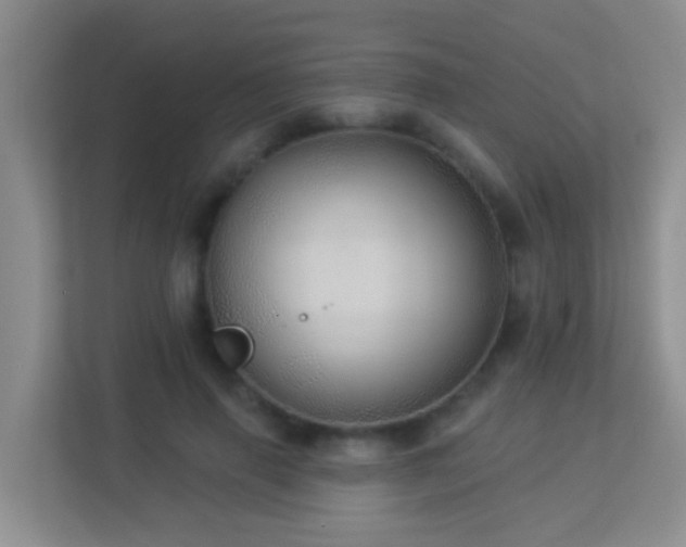 X0000113880645200909241353