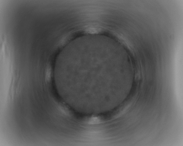 X0000113880647200909241353
