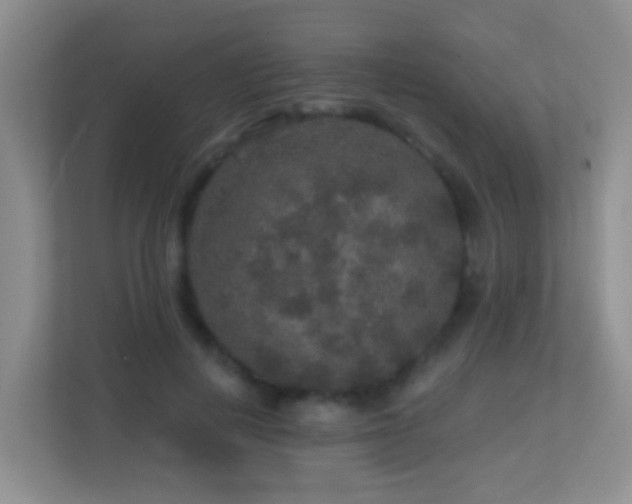 X0000113880648200909241353