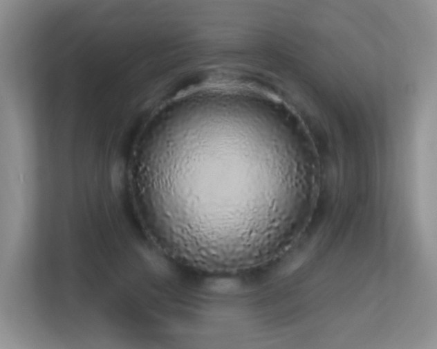 X0000113880649200909241353