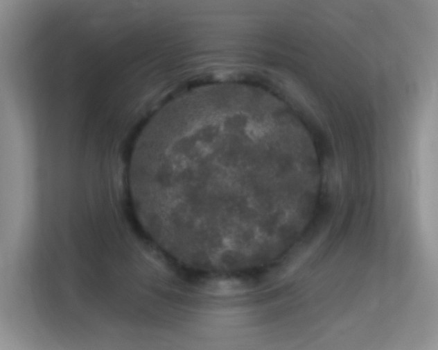 X0000113880650200909241353