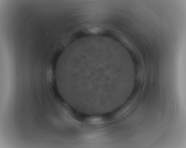 X0000113880651200909241353