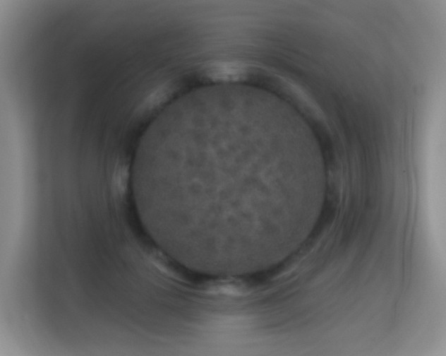 X0000113880652200909241353