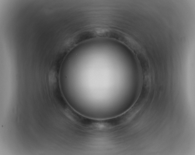 X0000113880654200909241353