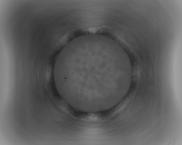 X0000113880656200909241353