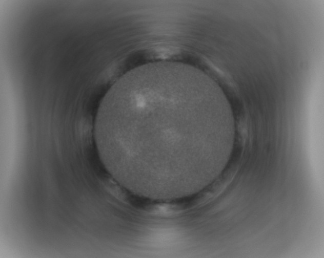 X0000113880657200909241353