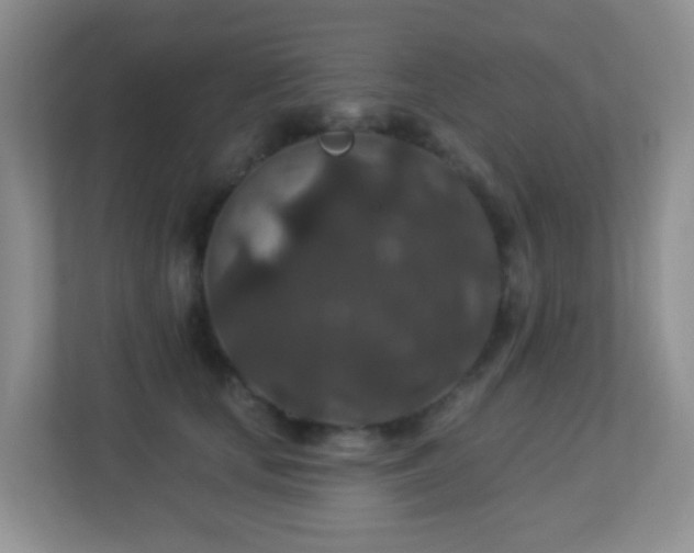 X0000113880659200909241353