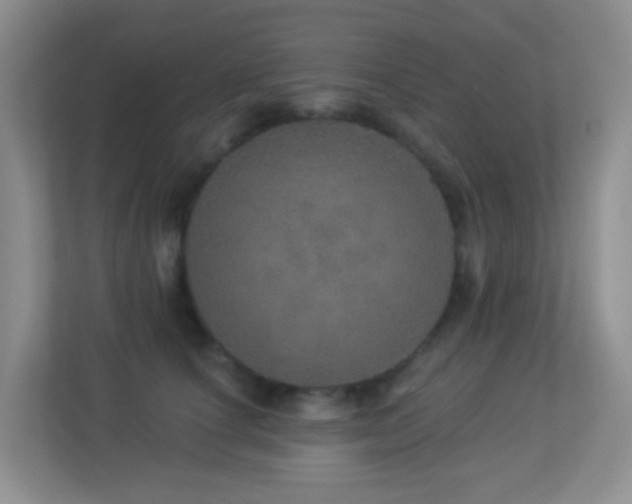 X0000113880660200909241353
