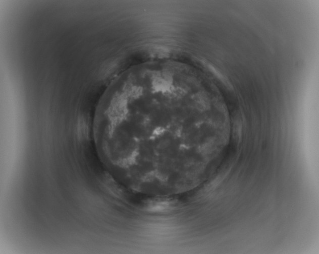 X0000113880661200909241353