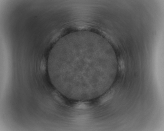 X0000113880664200909241354