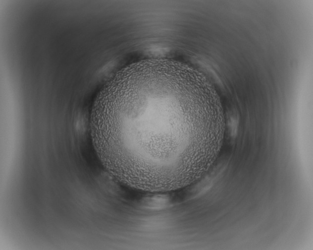 X0000113880665200909241354