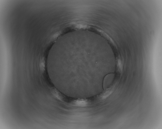 X0000113880668200909241354