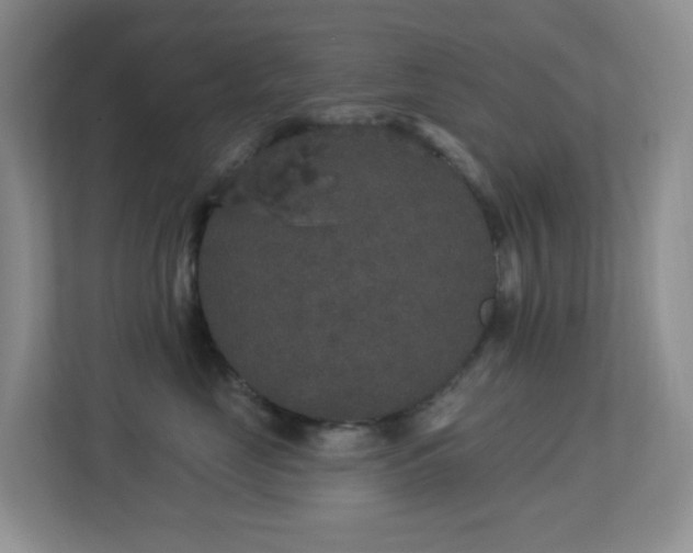 X0000113880669200909241354