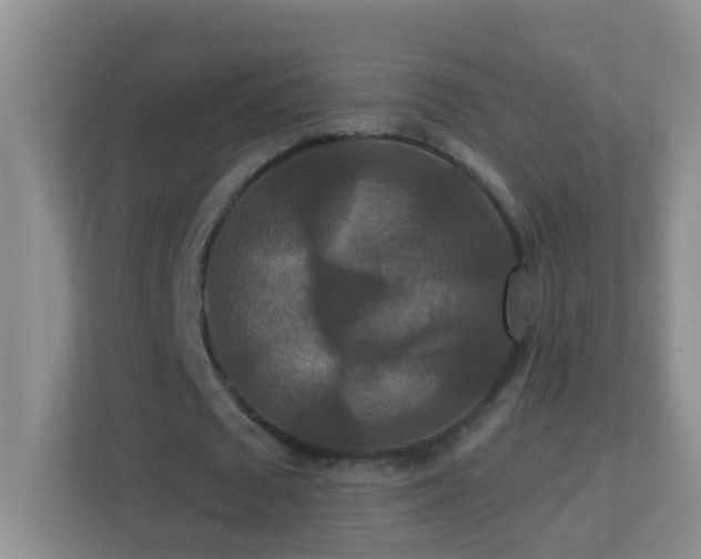X0000113880673200909241353