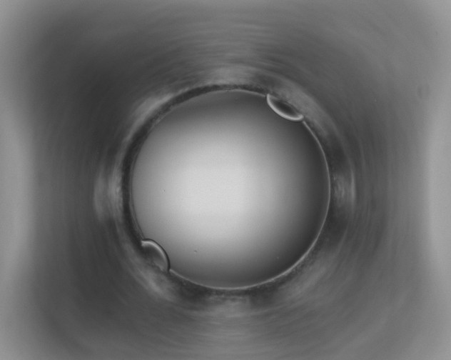 X0000113880676200909241353