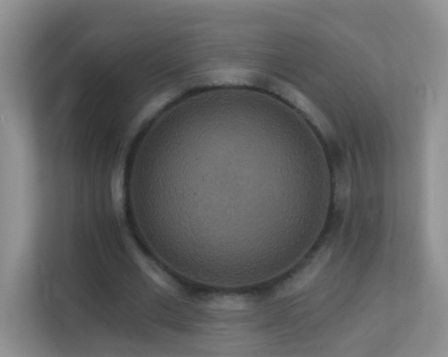 X0000113880677200909241353