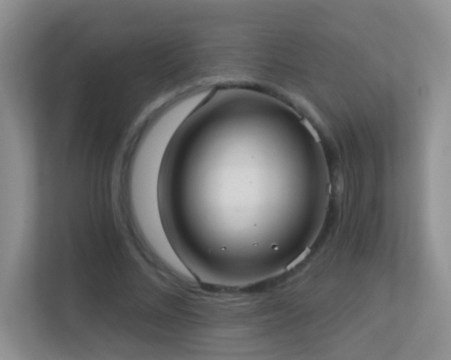 X0000113880684200909241353