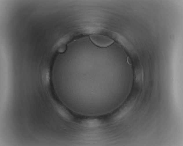 X0000113880685200909241353