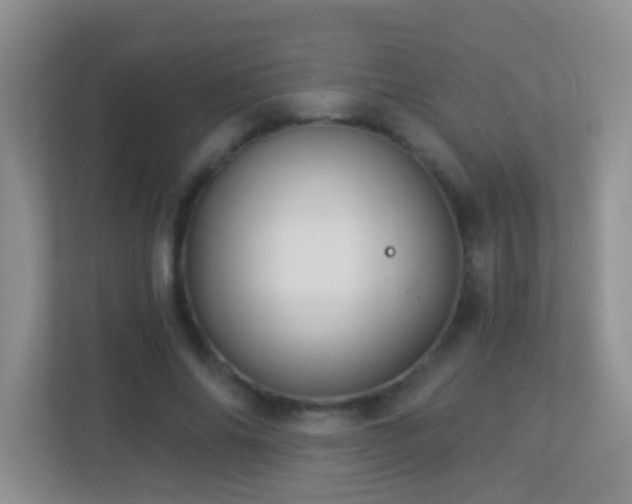 X0000113880686200909241353